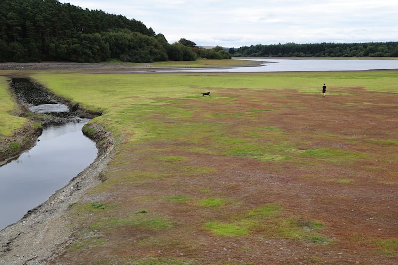 Jake McKenna and his dog Blue walk past a narrow channel of water in an area that would have been deep water beside Vartry Reservoir bridge upper near Roundwood County Wicklow.  Photo: Bryan O’Brien / The Irish Times 