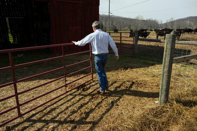 Thomas Massie is a fifth-generation farmer who lives on a small cattle ranch. Photograph: Jon Cherry/The New York Times                