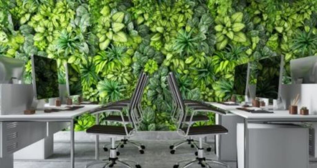 At present, there are 177 hubs already using the ConnectedHubs.ie platform. Photograph: iStock