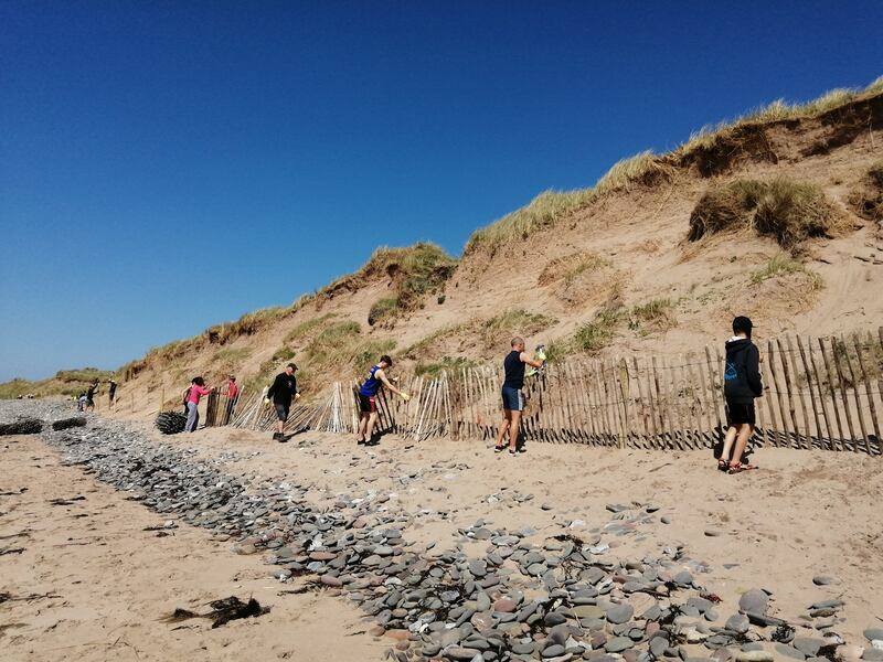 Volunteers help erect fencing to protect the Maharees sand dunes in Co Kerry. Photograph: Maharees Conservation Association.