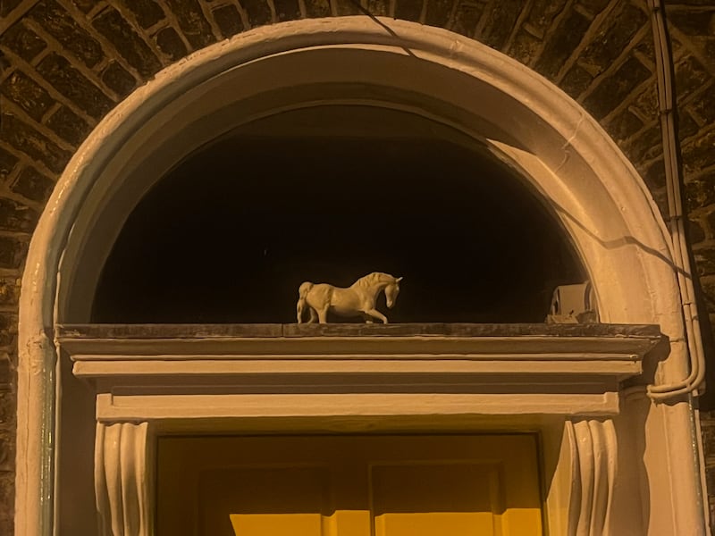 A white horse in the fanlight of a door on Erne Street, Dublin