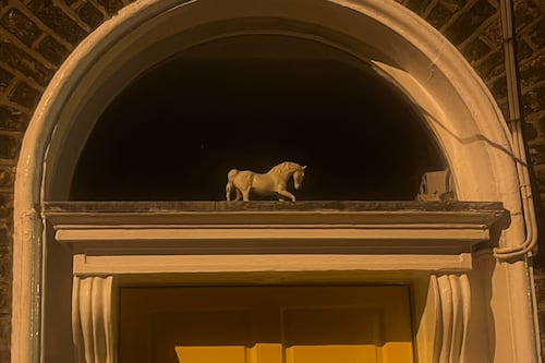 Charge of the Fanlight Brigade: a positive sighting of a threatened Dublin species