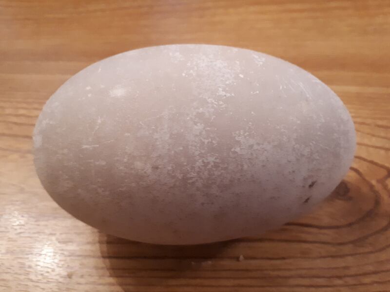 Swan’s  egg