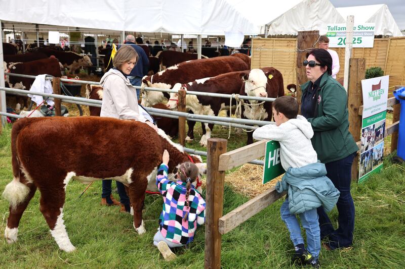 Visitors enjoy taking in the animals at the Tullamore Show and FBD National Livestock Show. Photograph: Dara Mac Dónaill/The Irish Times