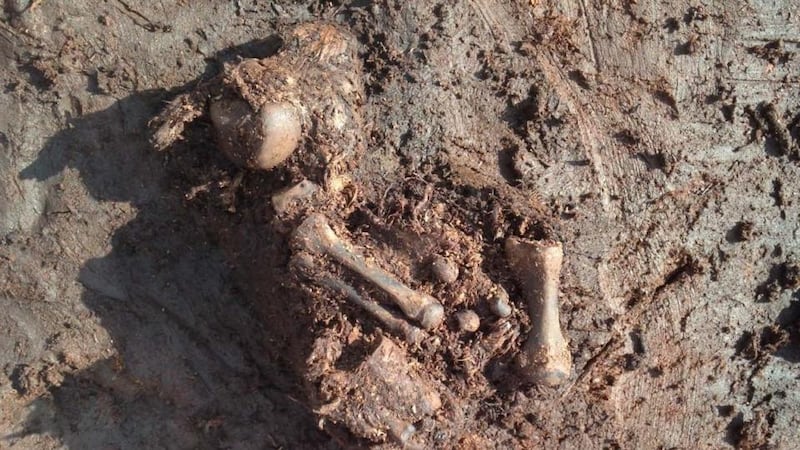 Bog body found in Rossan bog in Meath, close to the border with Westmeath. Photograph: National Museum of Ireland/PA Wire