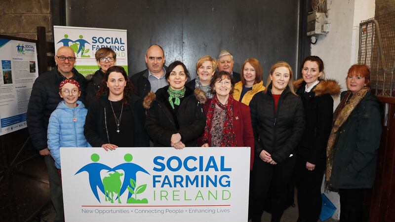 Back row: Liam and Simone Webb, Brian Smyth, Helen Doherty, Donal Lehane, Anna Marie McNally, Nóirin Forrestall, Rosemary Daly. Front row: I Webb, Gillian McCarthy, Dr Aisling Moroney, Ger O’Sullivan and Linda Martin.