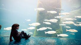 Weekend in . . . Montreal