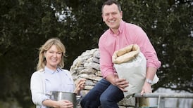 Too hot? Too cold? Just right: Search on for the perfect porridge