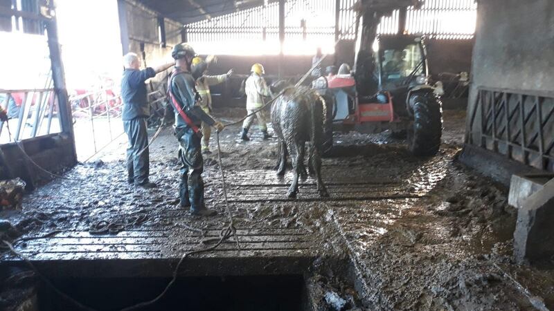 Rescuers had to consider the  serious risks of working amid toxic gasses from the slurry. Photograph: Northern Ireland Fire and Rescue Service / PA