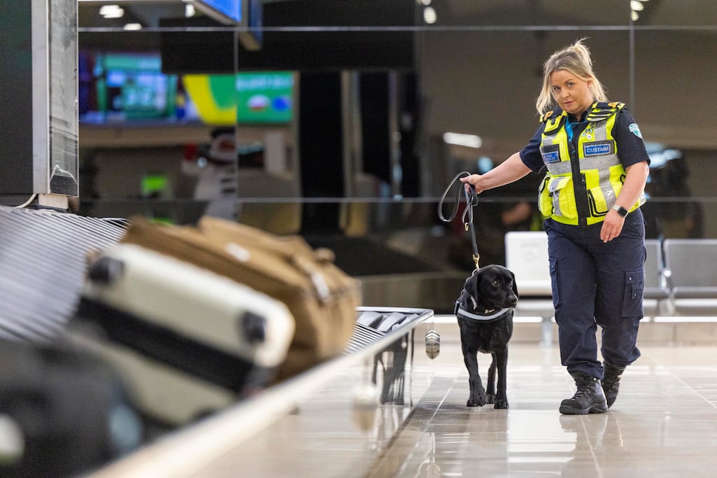 Sarah, Revenue and customs dog handler, and service dog “Maggie“, a Labrador, pictured at Dublin Airport. Photograph: Tom Honan
