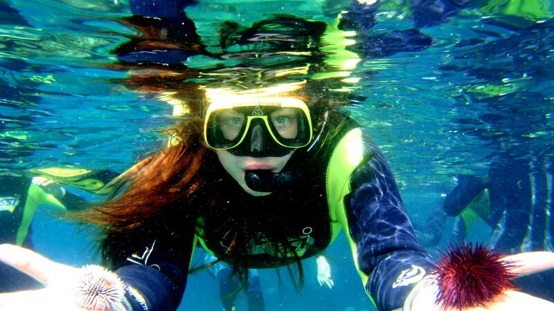 Scuba diving lessons