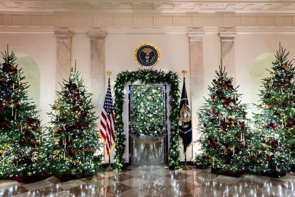 Christmas trees in White House. Photograph: Jim Lo Scalzo/EPA