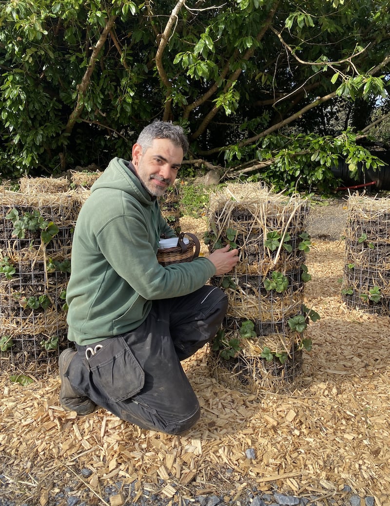 Alex Lavarde. Gardener, Ashford Castle