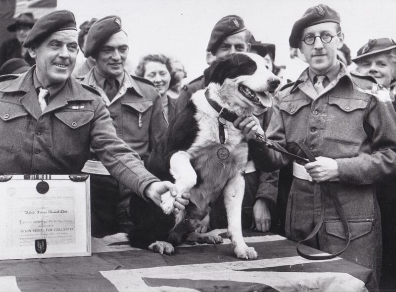 Rob the war dog's Dickin Medal for Gallantry achieved £140,000, which will go to the Taylor McNally Foundation in Antrim.