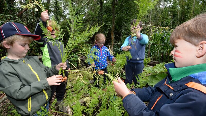 Children checking out the plants at  Turvey Nature Reserve. Photograph: Alan