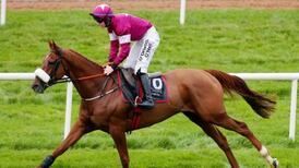 Gordon Elliott’s Tombstone bounces back to score at Navan