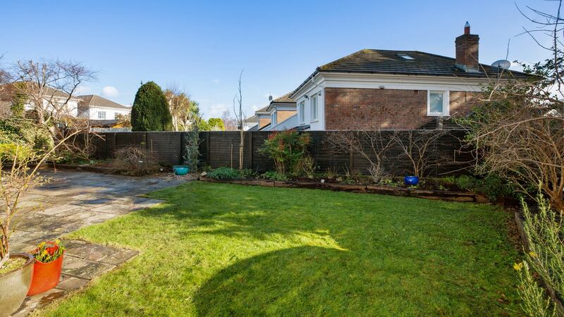 Back garden