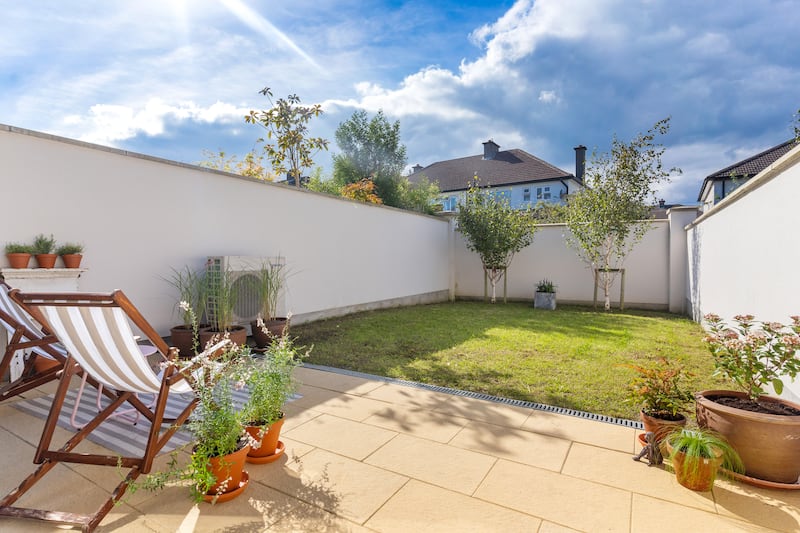 Back garden