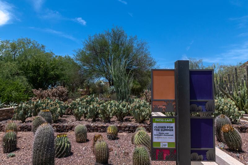 A cafe at the Desert Botanical Garden in Phoenix, which closed early due to high temperatures. Photograph: Ash Ponders/Bloomberg via Getty Images