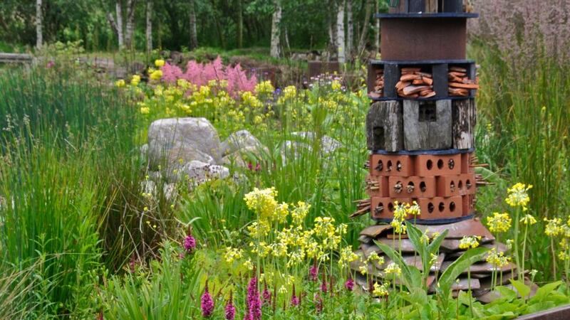 London Wetland Centre rain garden with 'creature tower' by Nigel Dunnett.