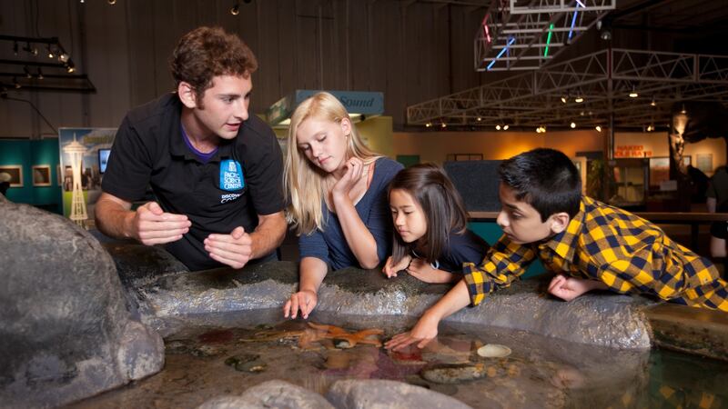 Exploring the tide pool at the Pacific Science Center in Seattle. The centre, which is right next door to the city’s famous Space Needle, has numerous indoor and outdoor offerings. Photographs:  Pacific Science Center