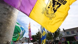 Wexford underage board propose 10-year ban on fan following alleged threats of referee