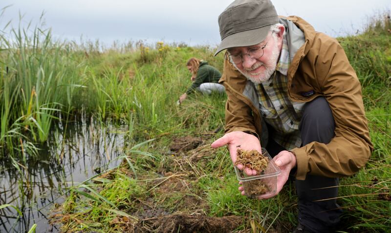 Minister for Heritage and Electoral Reform Malcolm Noonan releases some of the toads into the pond. Photograph: Valerie O'Sullivan