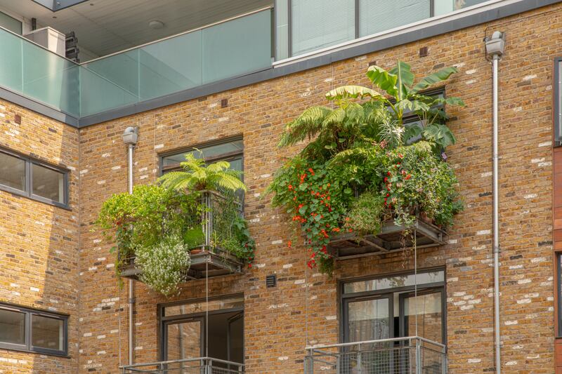 Jungle balcony