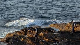 British man named as victim of Sydney’s first fatal shark attack in 60 years