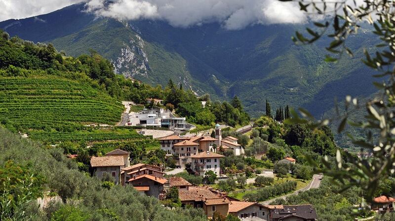 Acetaia del Balsamico in the hills.