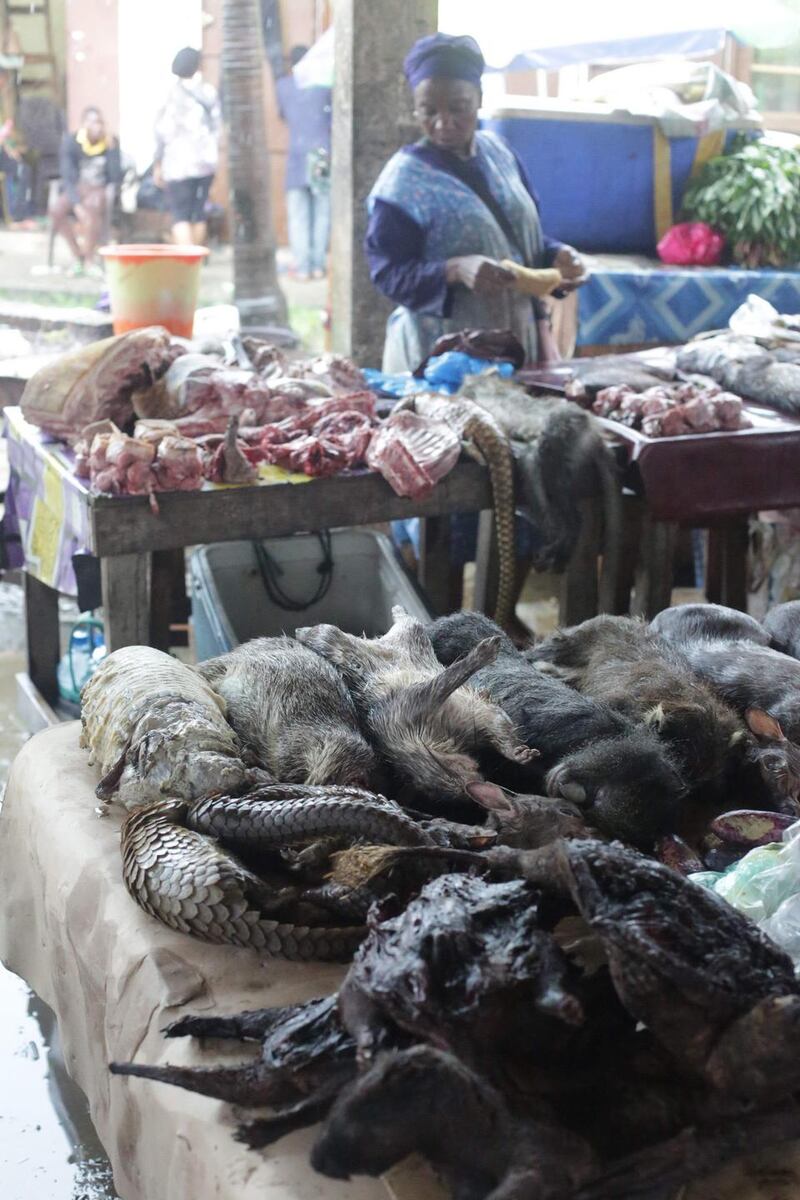 Pangolins and other bushmeat for sale at a market in Libreville Gabon, on March 7th, 2020. Photograph: Getty