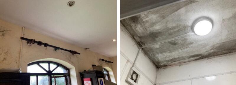 Mould at the San Giovanni centre in Co Meath. Photograph: Department of Justice