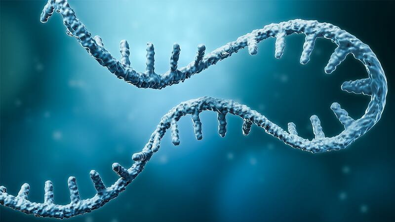 Messenger RNA strand 3D rendering illustration.