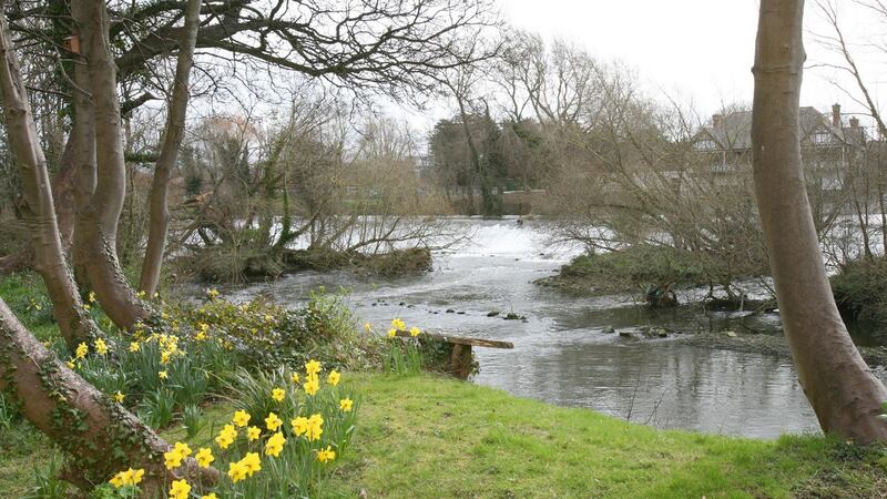 Chapelizod in  Dublin: “Rivers are special, one of the few remaining places you get the sense of naturalness”, says National Biodiversity Data Centre director Liam Lysaght