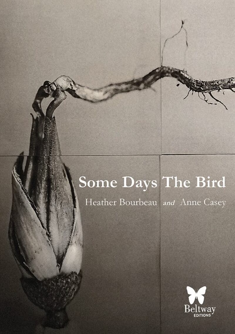 Some Days the Bird