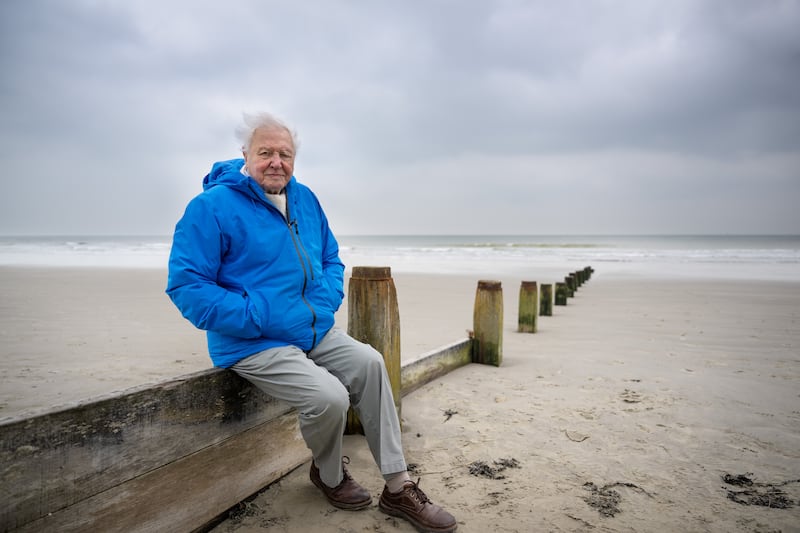 Ocean with David Attenborough. Photograph: Conor McDonnell/Silverback Films/Open Planet