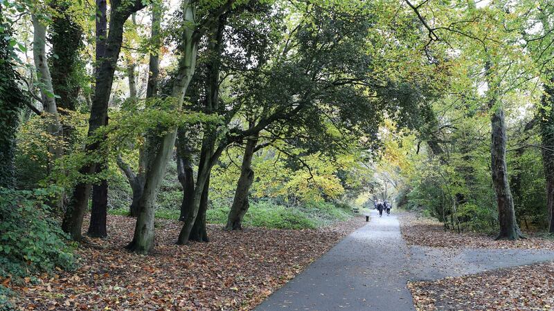 .Killiney Hill Park, Killiney Road. Photograph: Nick Bradshaw
