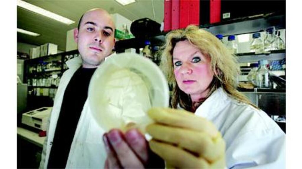 Skin deep: Dr Danny Allen and Dr Jane Farrar in the laboratory
at the Smurfit Institute of Genetics, Trinity College Dublin