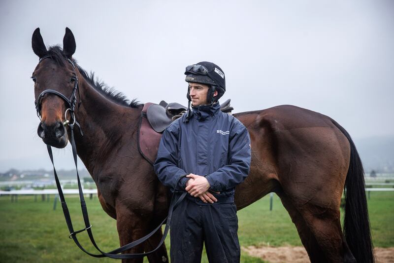 Embassy Gardens, pictured here with Patrick Mullins, won the feature race at Tramore on New Year's Day. Photograph: Tom Maher/Inpho