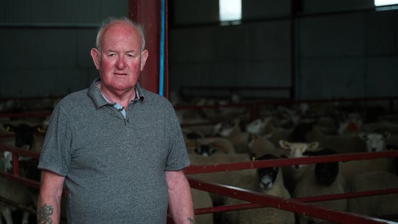Sheep farmer James McDonnell says a hard Brexit would be “devastating” for his business. Photograph: Enda O’Dowd