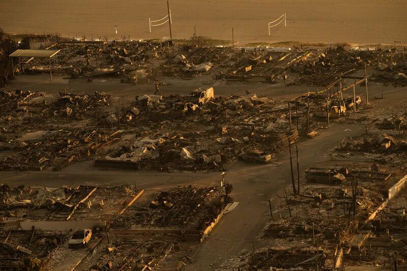 A person walks through a neighbourhood destroyed by the Palisades fire. Photograph: John Locher/AP