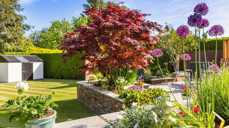 The patio area of the garden