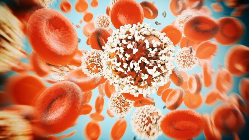 Cancer is a multifactorial disease where a person’s genes are key, but hereditary cancer is relatively rare