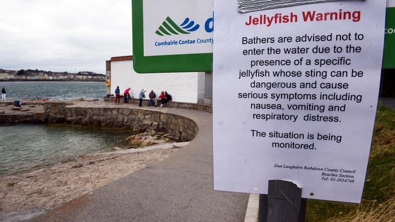 Signs erected by Dun Laoghaire Rathdown County Council in 2014 warning bathers of jellyfish, at Sandycove, Co Dublin. Photograph: Eric Luke/The Irish Times