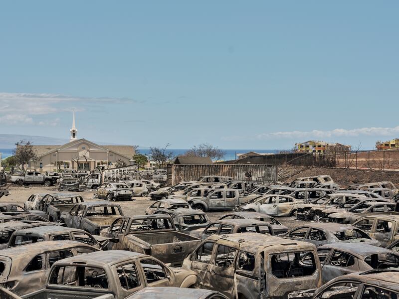 Burned vehicles in a parking lot in Lahaina, Maui, Hawaii. Photograph: Philip Cheung/New York Times
                      