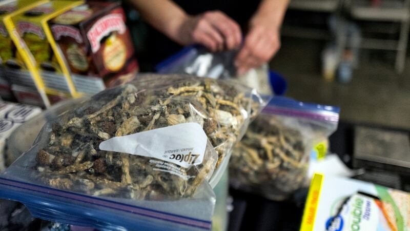 Denver was the first US city to decriminalise the use of psilocybin, the psychedelic substance in ‘magic mushrooms’. Photograph: AP Photo/Richard Vogel