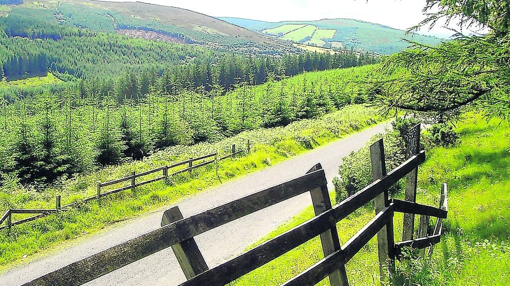 Occasional tantalising vistas open over the patchwork quilt of Ireland’s central lowlands