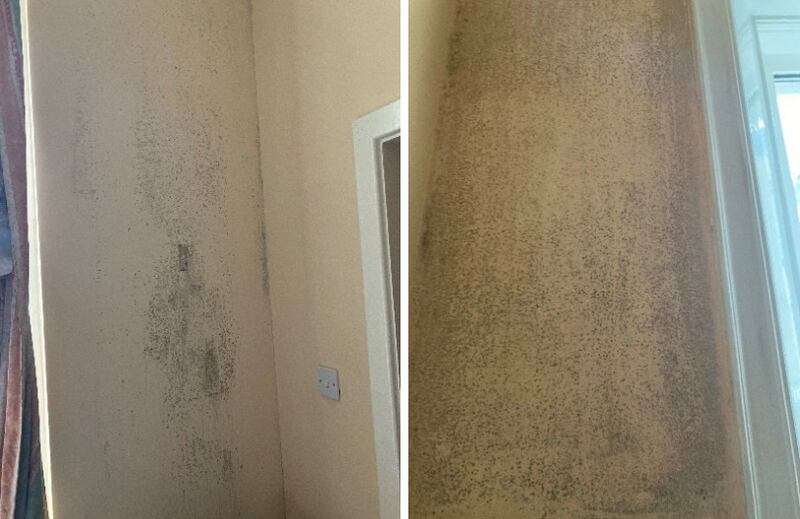 Mould at Corville House, Roscrea. Image: Department of Justice