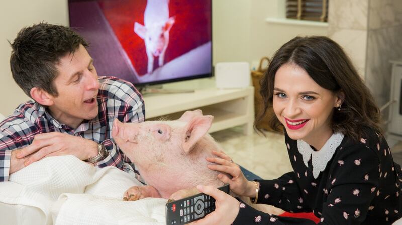 TV star Charlene McKenna cuddled up on the couch with YouTube sensations Piggy Sue and Donal (Michael Hayes), at the launch of Vodafone TV. Photograph: Naoise Culhane