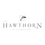 The Hawthorn by Galway Bay